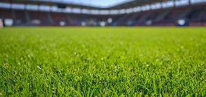 WM2026_Fussballstadion_Rasen