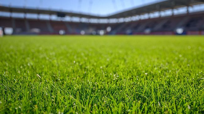 WM2026_Fussballstadion_Rasen