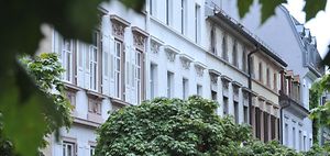 wohnumfeld_Altbau_strassenbegrünung