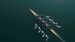 Four male rowers sculling on lake in sunshine.
