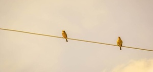 Nachhaltigkeit als Kommunikationsrisiko